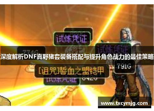 深度解析DNF真野猪套装备搭配与提升角色战力的最佳策略